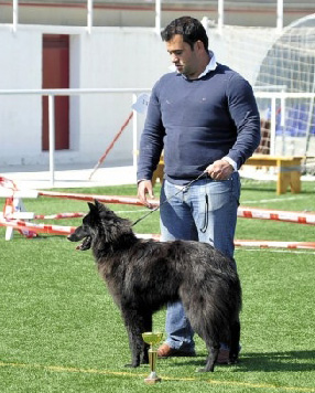 Lady Belliamici